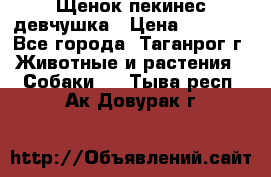 Щенок пекинес девчушка › Цена ­ 2 500 - Все города, Таганрог г. Животные и растения » Собаки   . Тыва респ.,Ак-Довурак г.